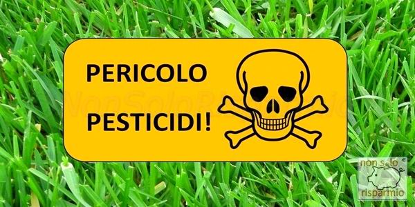 Pesticidi (www.nonsolorisparmio.it)
