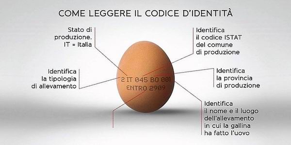 codice d'identità uovo