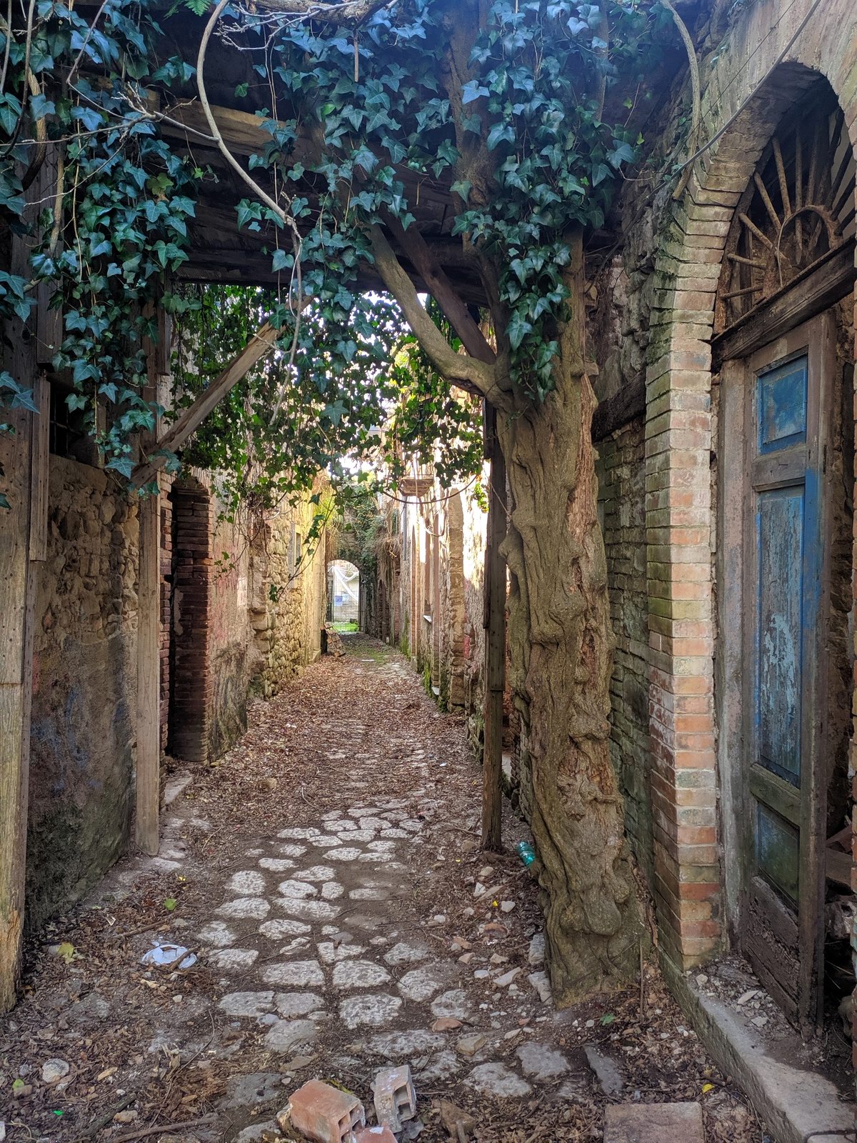 La natura fa il suo corso (foto Maurizio Cuomo)