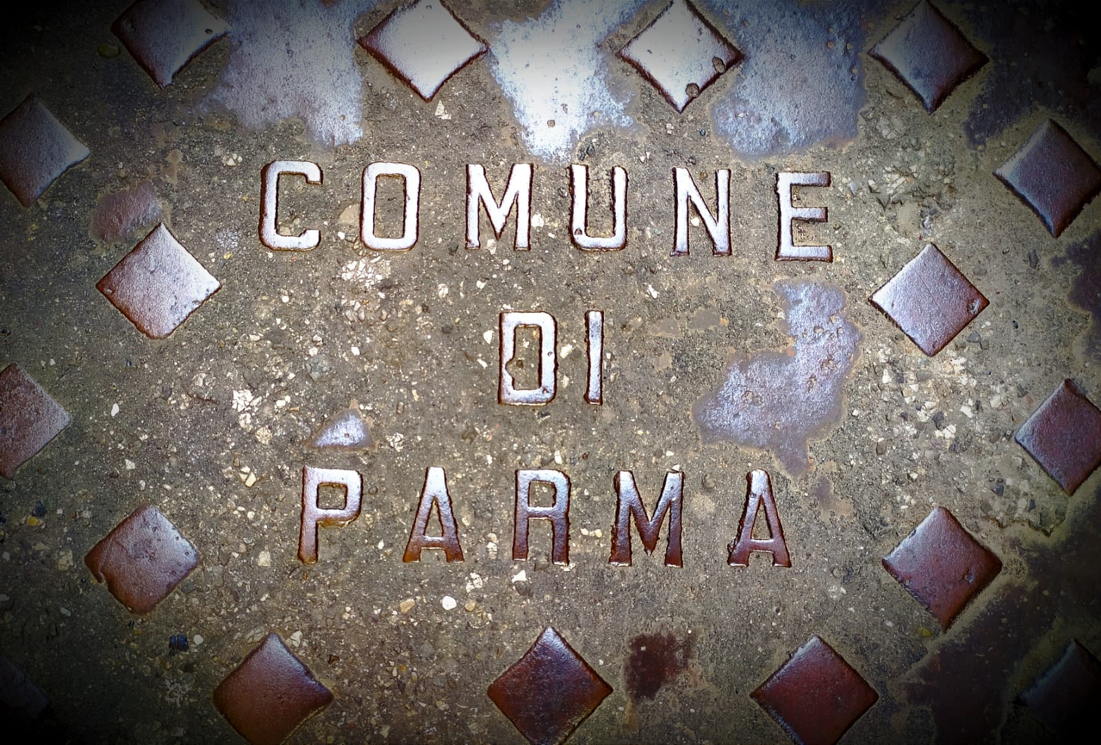 Comune di Parma (foto Maurizio Cuomo)