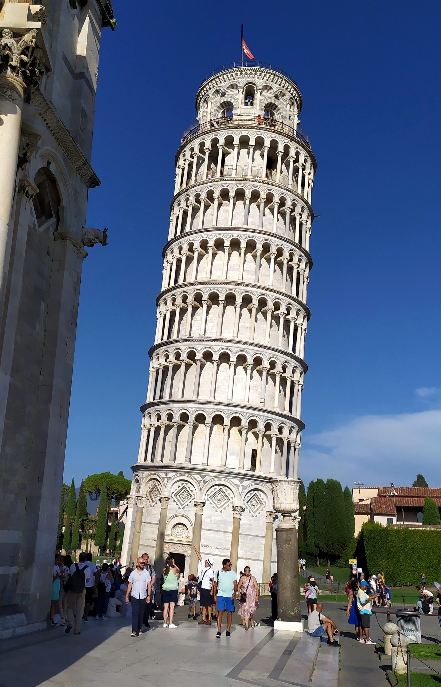 La Torre di Pisa (foto Maurizio Cuomo)