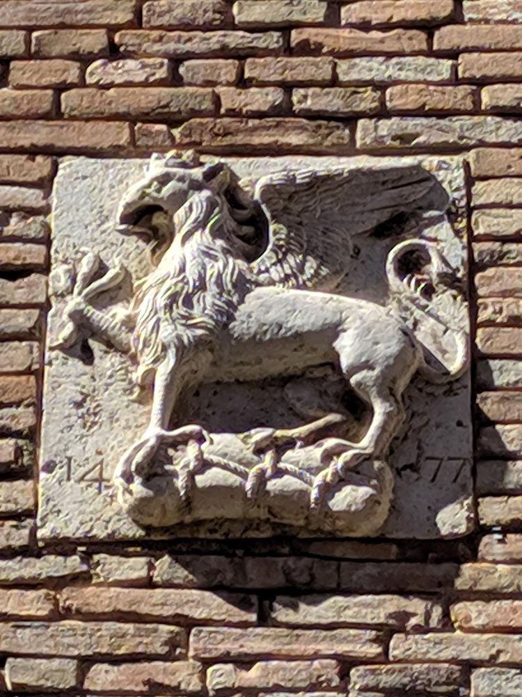Il grifo di Perugia (8)