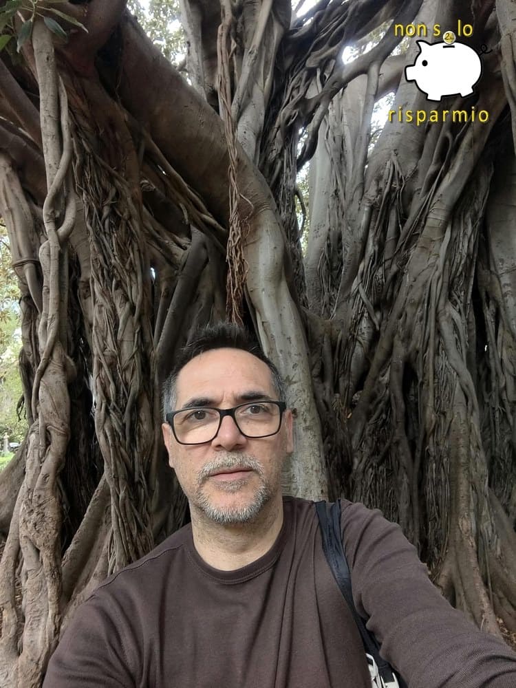 foto ricordo di fronte al monumentale Ficus macrophylla di Palermo